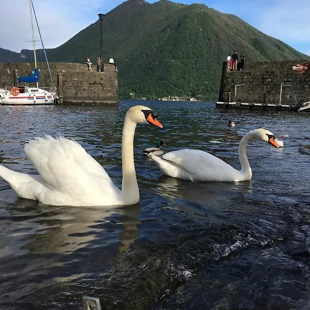 Il Nido Di ארגגנו