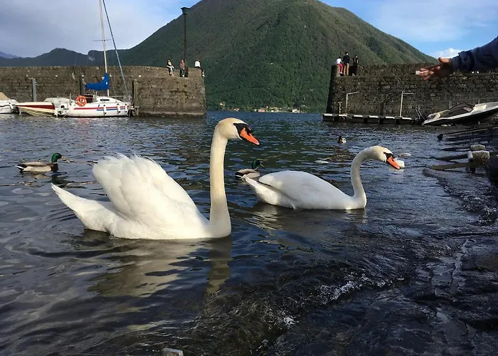 Il Nido Di ארגגנו