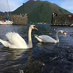 Il Nido Di